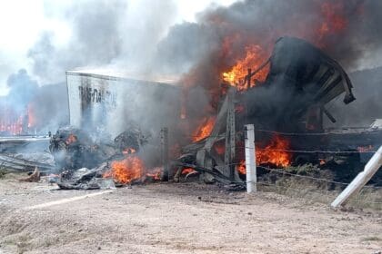 WhatsApp Image 2024 01 20 at 5.43.45 PM