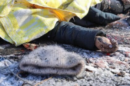 WhatsApp Image 2024 01 22 at 11.45.44 AM