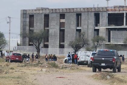 WhatsApp Image 2024 01 31 at 3.24.10 PM 2