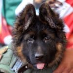 YFL5ZAKBUGRAJ7MITIYGOX543A 1 scaled 1