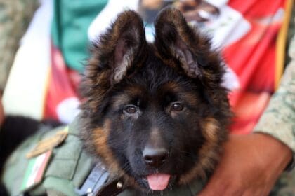 YFL5ZAKBUGRAJ7MITIYGOX543A 1 scaled 1