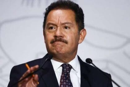 a71b9d6bff2b4b9f6176745e3e770d50 XL 1 1