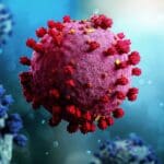 adobestock 333039083 e1653147797451