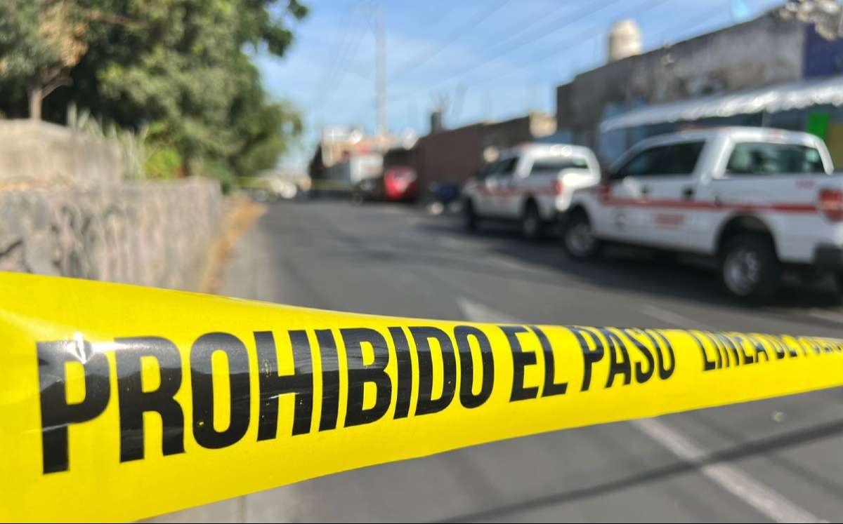 bCvdVf6OISz883eSvPjZBZ91sPGKwuyMFVt820NI 1