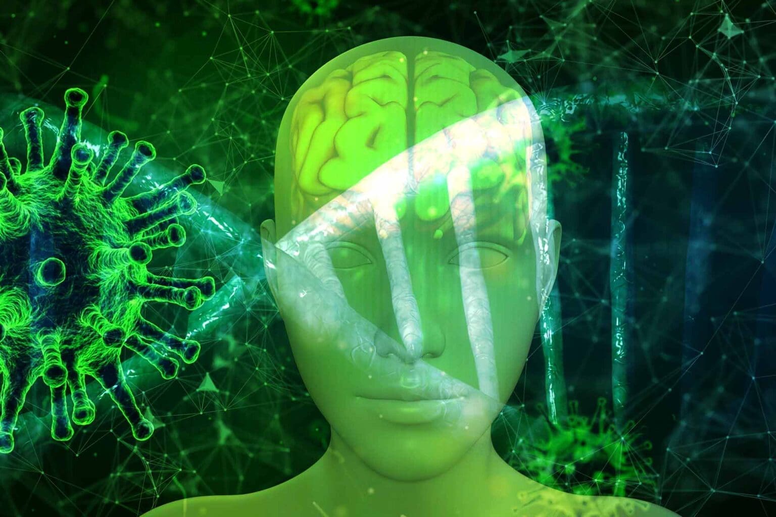 cerebro humano 17022021