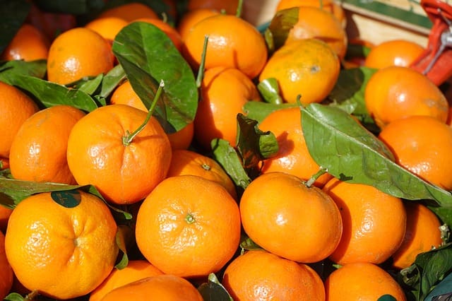 clementines 318213 640