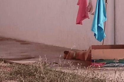 crop w394 h329 captura de pantalla 2023 06 13 a la s 17.33.34 focus 0 0 732 549