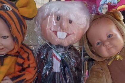 crop w669 h559 captura de pantalla 2023 06 15 a la s 12.35.58 p. m. focus 0.09 0.48 732 549