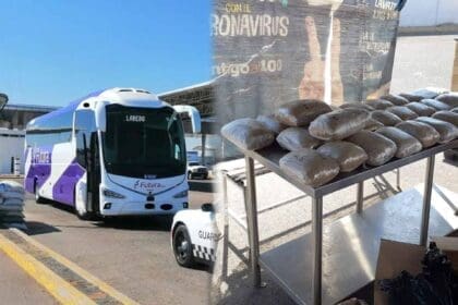 decomiso marihuana camion 09022021