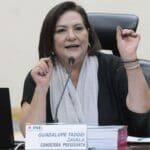 "No podemos retroceder", INE es necesario para México: Taddei