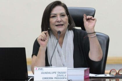 "No podemos retroceder", INE es necesario para México: Taddei