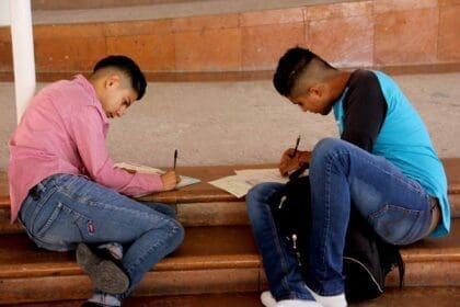 desempleo aguascalientes 13022021