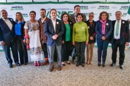 diputados partido verde apoyo ebrard 1