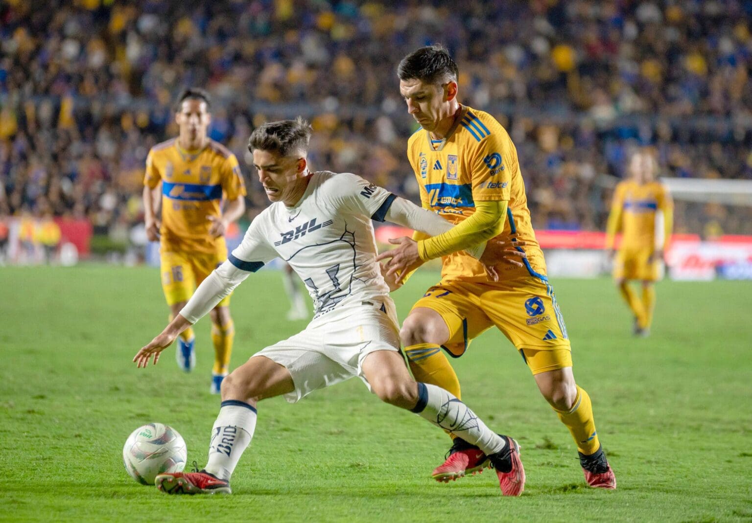 e394ed18ec1cbb0df2e92a7ec6dcd320d7cdeaea 1 scaled 1