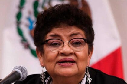 ernestina godoy fgj caso bebe 1