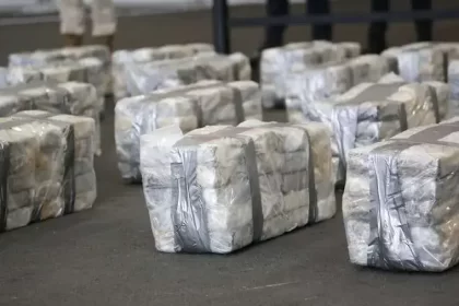 escneres detectan casi una tonelada de droga oculta en contenedo 668882402 760x520 1