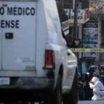 f608x342 137445 167168 15 1