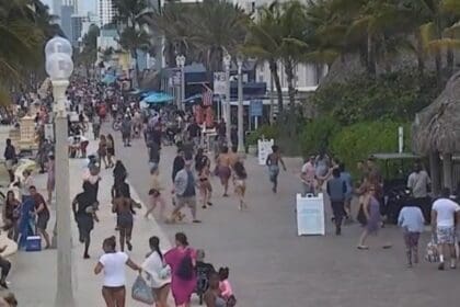 f960x540 446167 520242 0