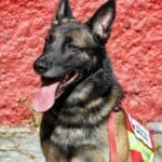 fovx81dwyaa3e12 1 4753294 20230207173923