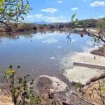 granja porcicola aguas negras oaxaca