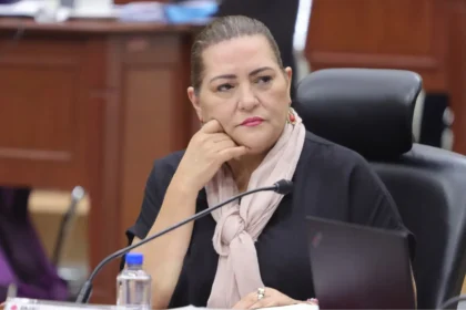 guadalupe taddei ine cortesia cs 1