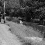 hallan cadaver cuerpo sobre carretera min