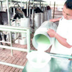 leche COLOR