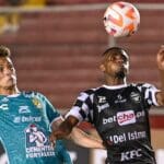 leon vs tauro 375416982