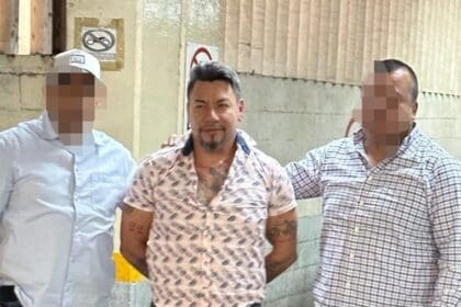 llama tiburon COLOR e1691341484969