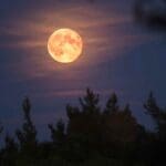 luna de cazador 103053