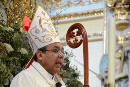 obispo lily scaled e1703623678631