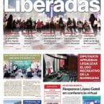 optimizadso Pagina 1 scaled 1