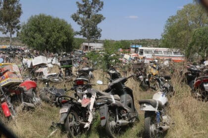 pension lily 2 scaled 1