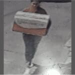 perritos abandonados