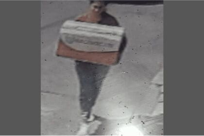 perritos abandonados