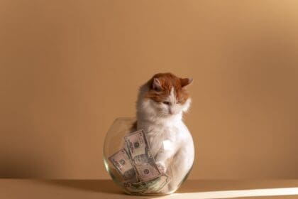 pexels cottonbro studio 5909808 scaled 1