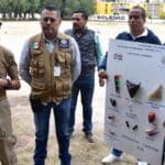 pirotecnia peligrosa 0