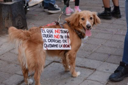 protesta animales 2