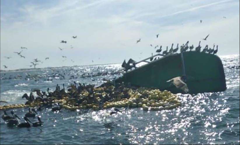 Vuelca barco atunero en Ahome, Sinaloa; hay un pescador desaparecido