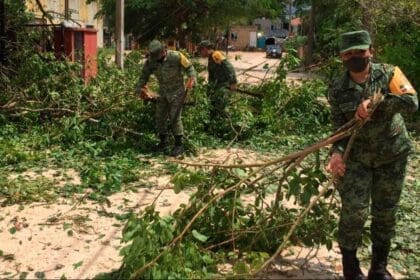 sedena en quintana roo 1