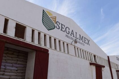 segalmex auditoria 2020 1 scaled 1