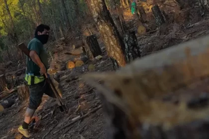 tala.jpg 673822677 1