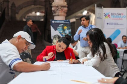 tere bolsa de trabajo