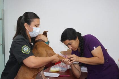 tere caravana scaled 1