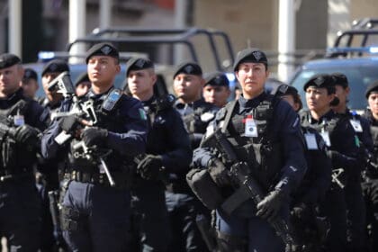 tere operativo polis