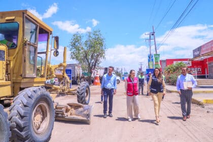 tere repavimenta COLOR