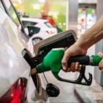 whatsapp image 2023 04 24 at 8.02.10 pm focus 0 0 732 549 2