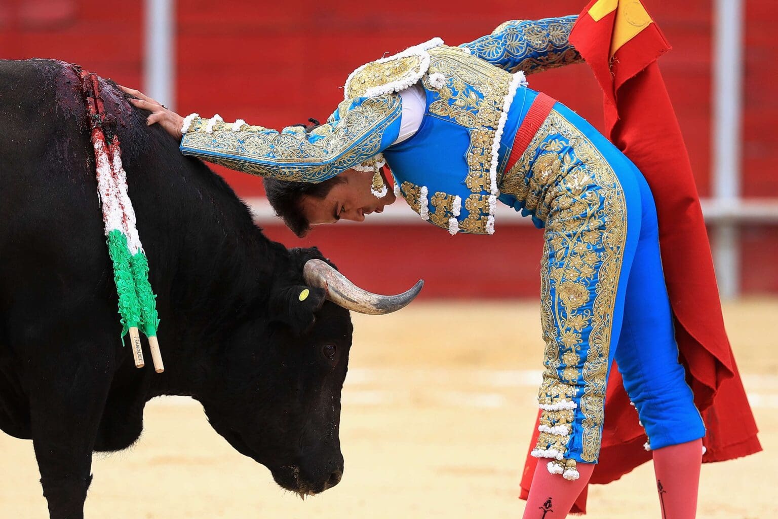 Defenderá Gobierno del Estado la Fiesta Brava legalmente: FRB
