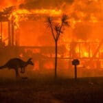 44 propiedades destruidas por incendios forestales en Australia