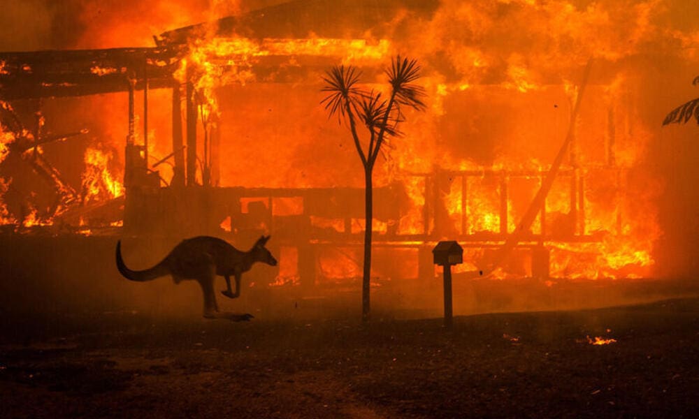 44 propiedades destruidas por incendios forestales en Australia